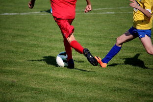 乐鱼体育app网址-青训球员留学通道缺乏配套扶持政策,青训球队