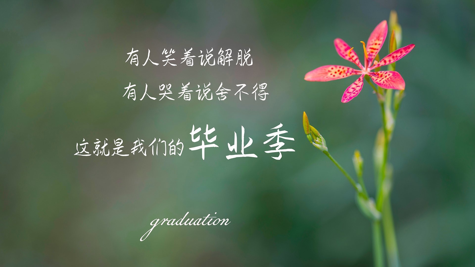 乐鱼体育在线网站-2024年埃及队表现:乒乓世界杯中的崭露头角,埃及乒乓球发展状况 乐鱼体育在线网站-2024年埃及队表现:乒乓世界杯中的崭露头角,埃及乒乓球发展状况