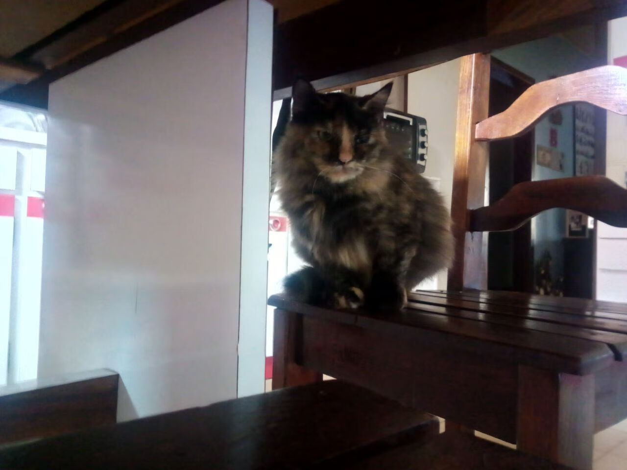 乐鱼体育app官网-CBA联盟推动裁判执法规范化加强比赛公正性,cba举办裁判篮球赛